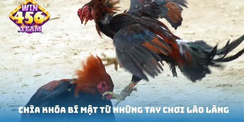 Chìa khóa bí mật từ những tay chơi lão làng