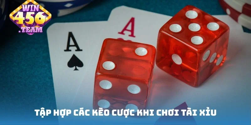 Tập hợp các kèo cược khi chơi tài xỉu