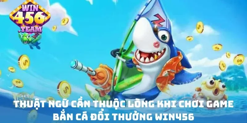 Thuật ngữ cần thuộc lòng khi chơi game bắn cá đổi thưởng WIN456